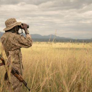 Best Time for a Safari in Uganda: Month-by-Month Guide for Wildlife Lovers