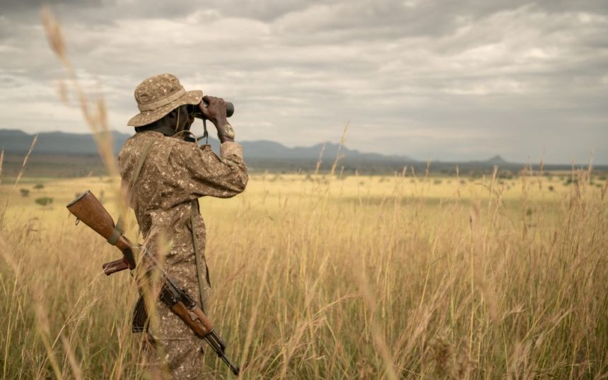 Best Time for a Safari in Uganda: Month-by-Month Guide for Wildlife Lovers