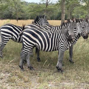 Lake Mburo National Park